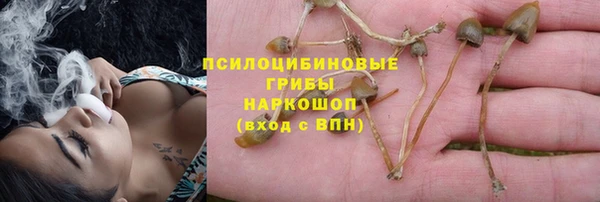 дурь Алексин
