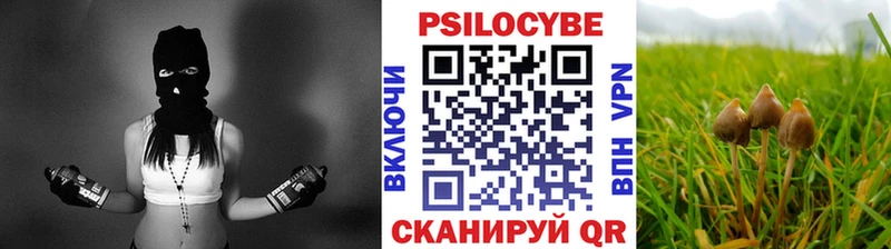 как найти наркотики  Гагарин  Псилоцибиновые грибы мицелий 