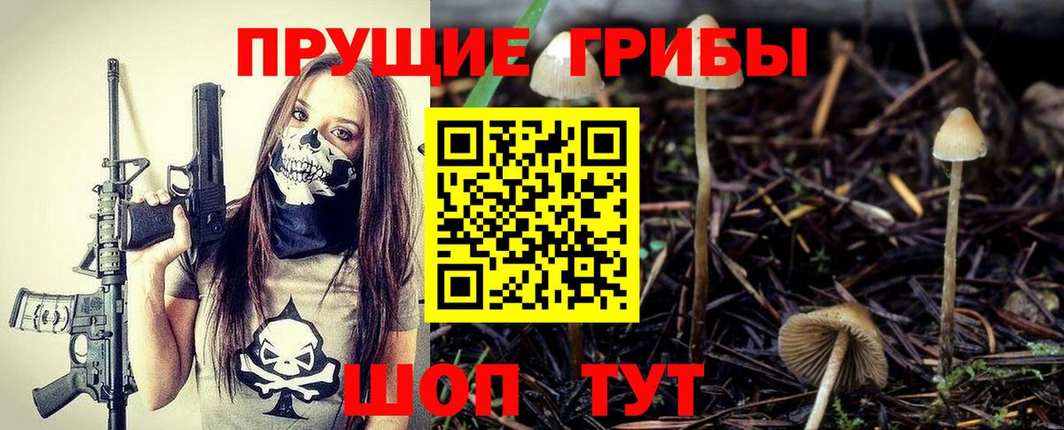 Гагарин  Псилоцибиновые грибы ЛСД  как найти закладки  Вход с VPN 