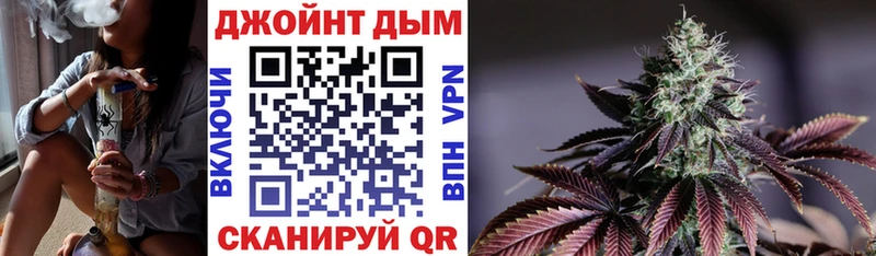 Конопля семена  Гагарин 